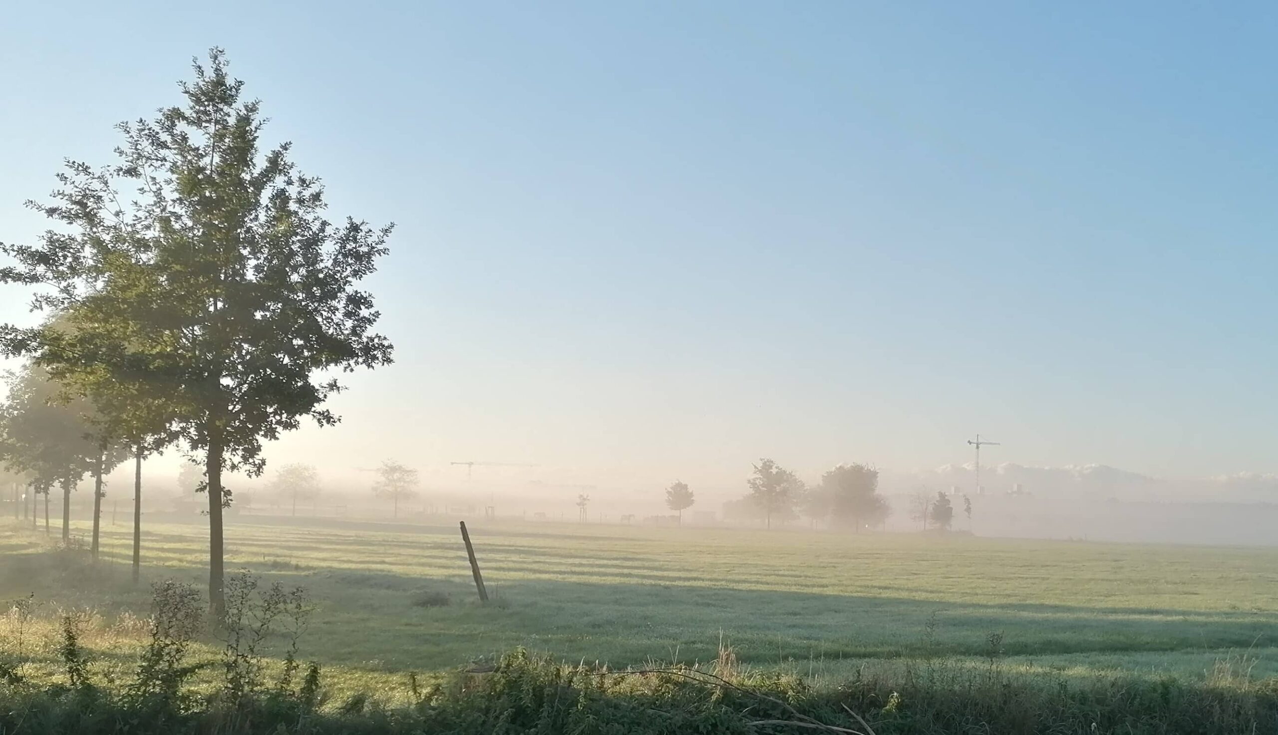 Nebel auf einem Feld der Gemeinde Schönefeld
